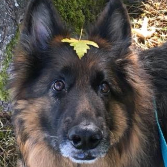 Meet your Posher, Kristin - Picture 5 of 6